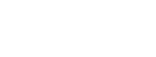 Logo Shopify Partner